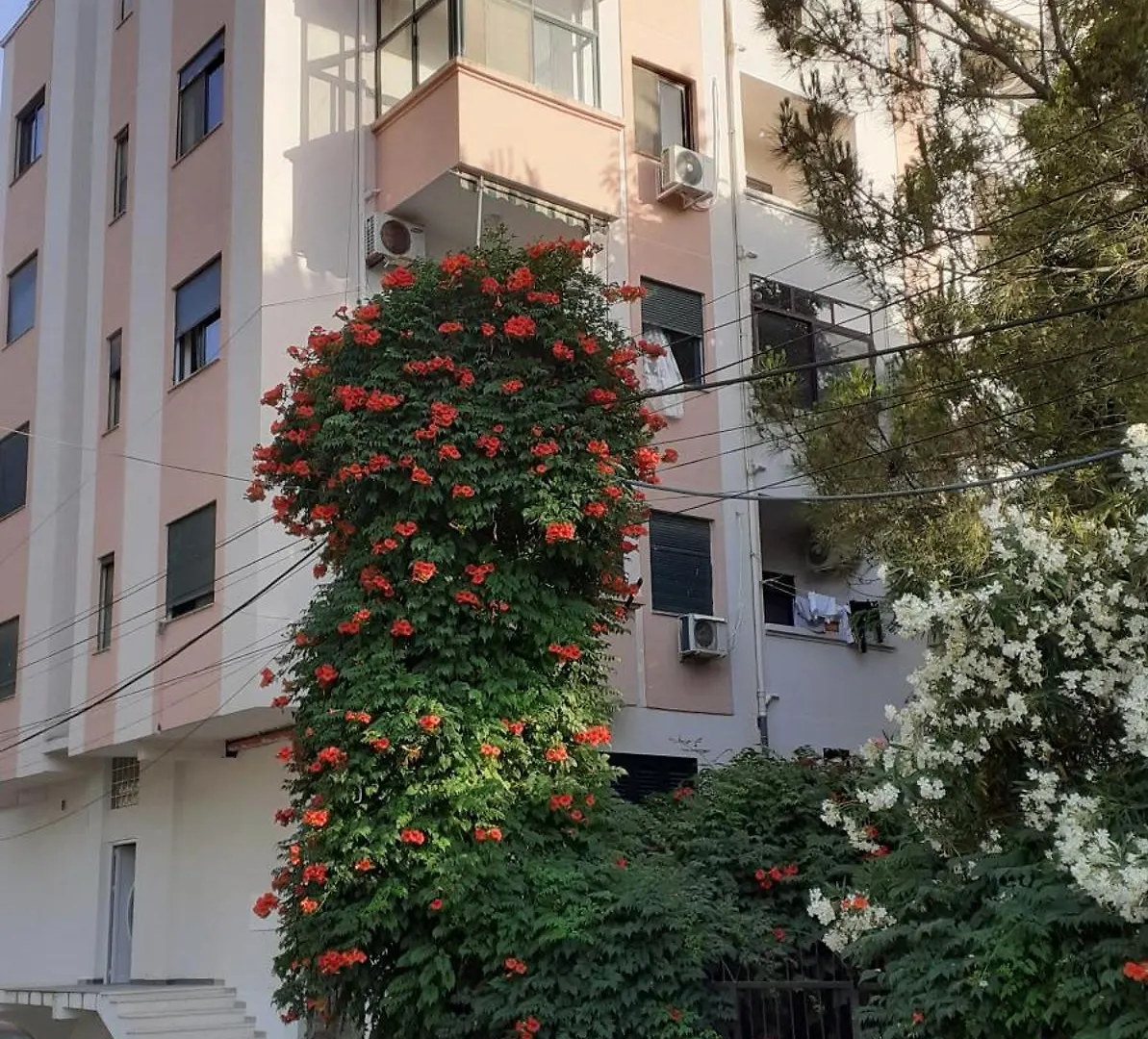 Apartment Venecia Durres Albania